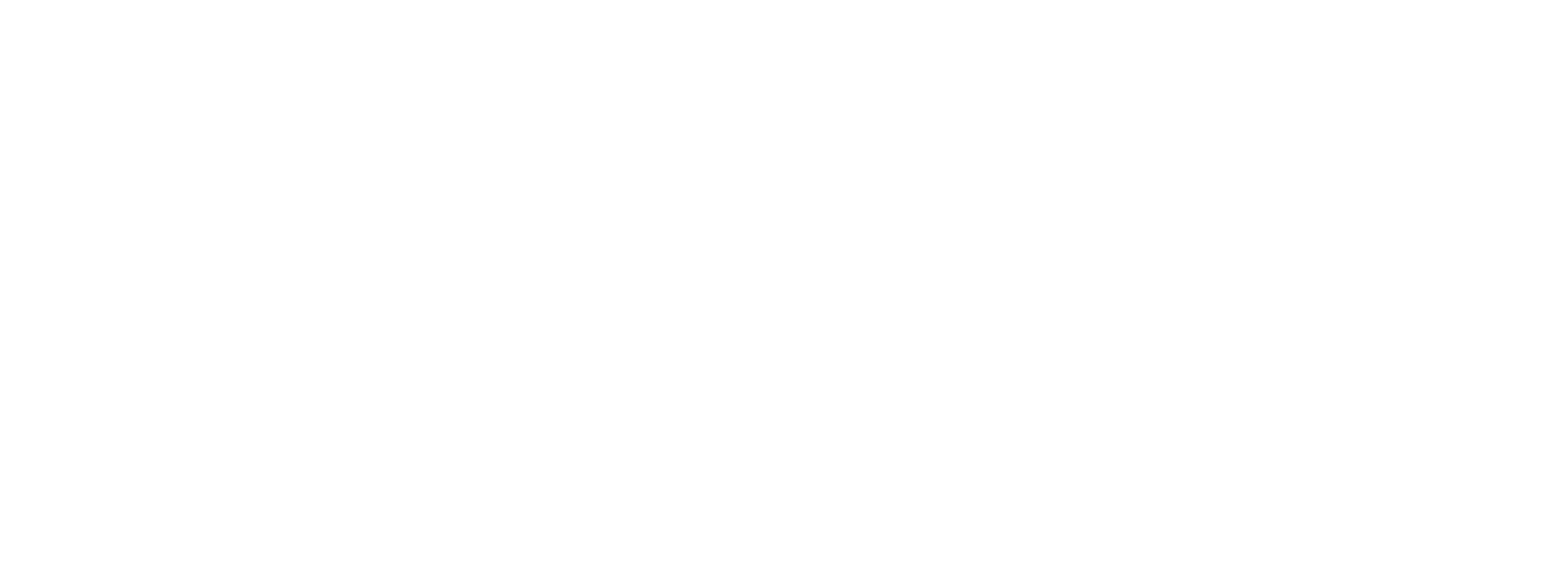Ronitry logo